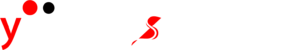 Logo Ysysys Bianco Software su misura del cliente a costi contenuti